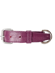 Collar de Perro Roni