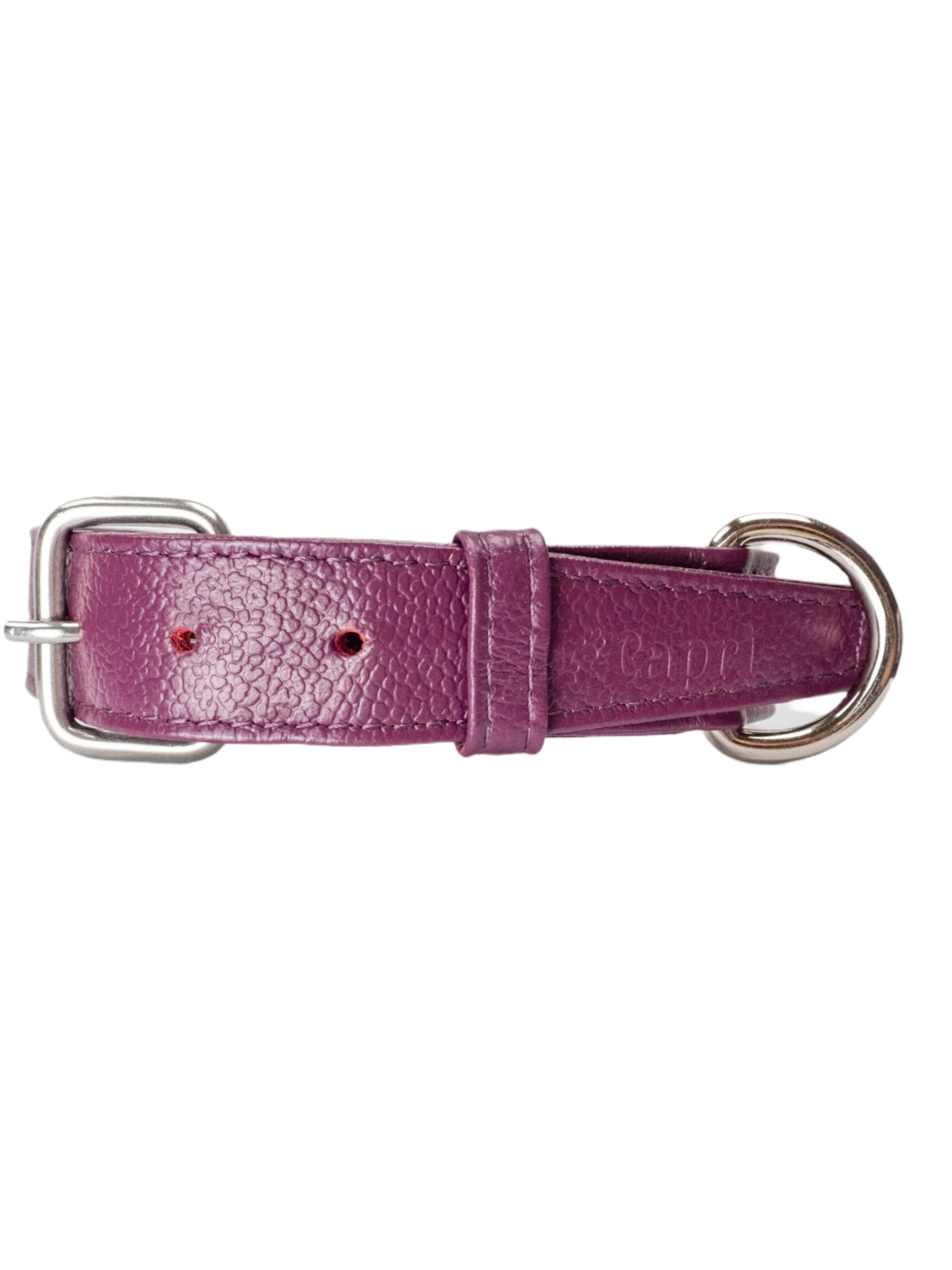 Collar de Perro Roni