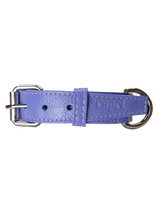 Collar de Perro Roni