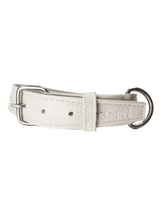 Collar de Perro Roni
