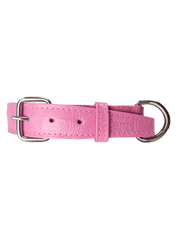 Collar de Perro Roni