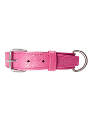 Collar de Perro Roni