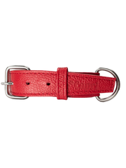 Collar de Perro Roni