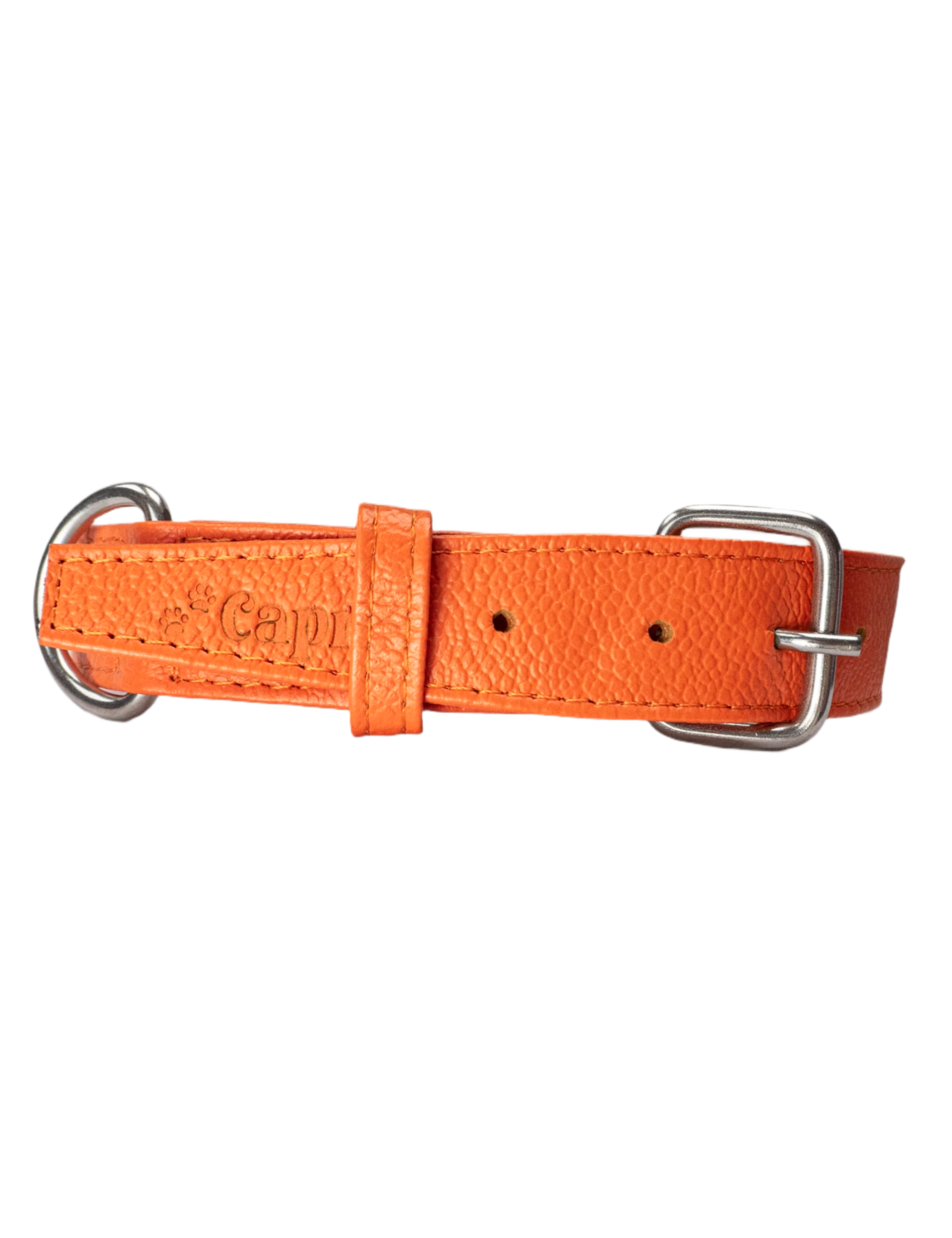Collar de Perro Roni