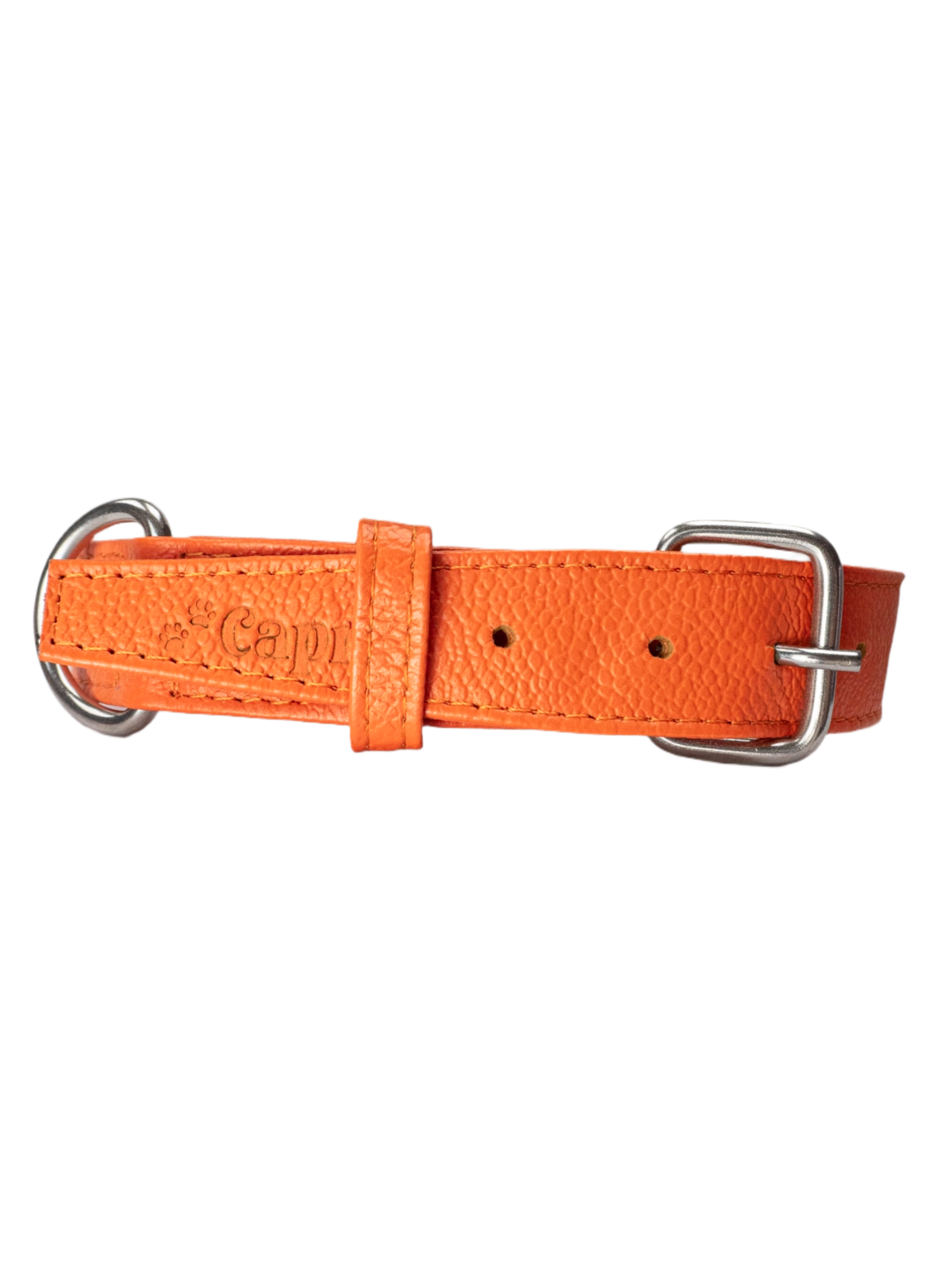 Collar de Perro Roni