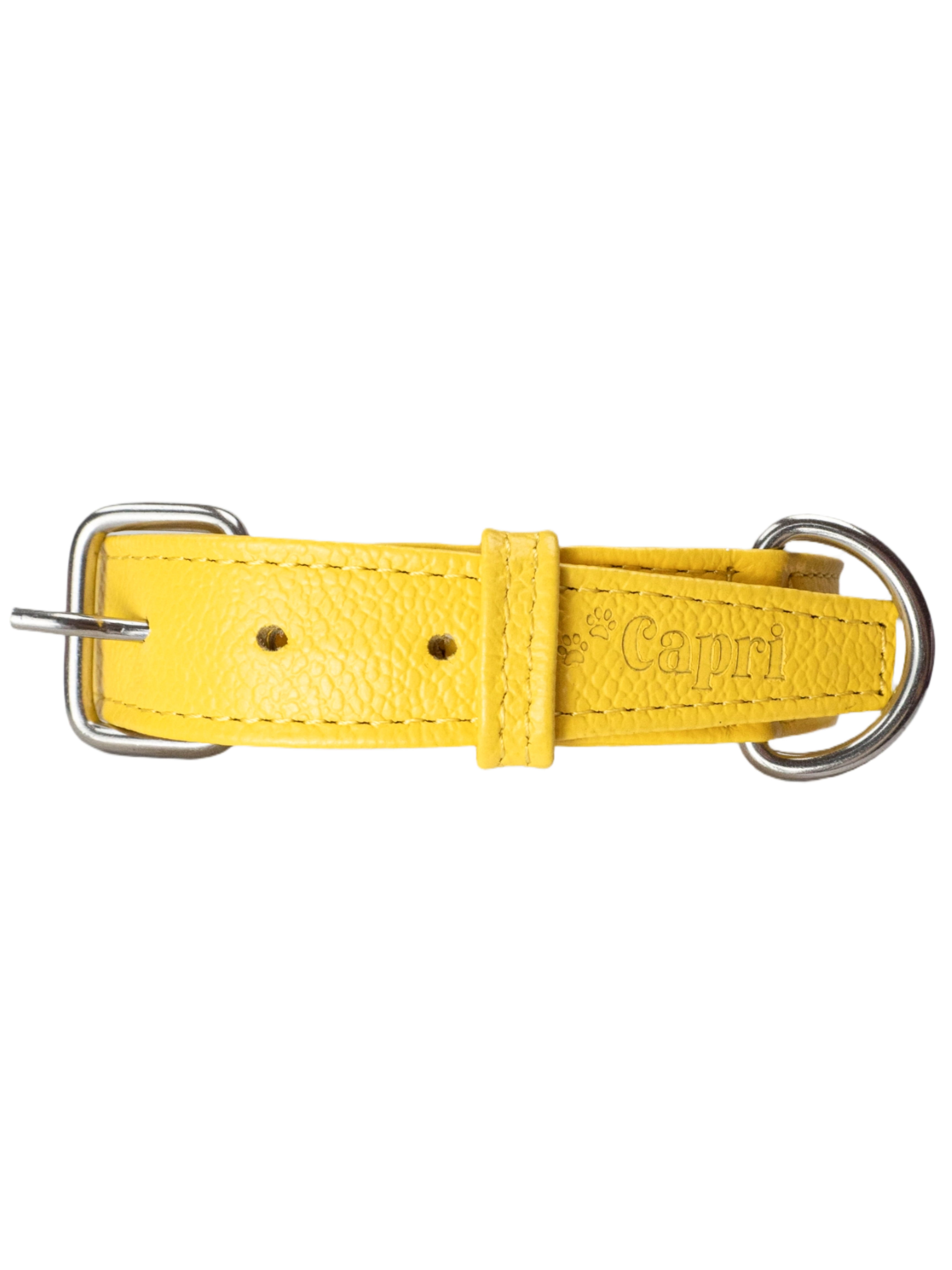 Collar de Perro Roni