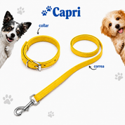 CORREA + LLAVERO