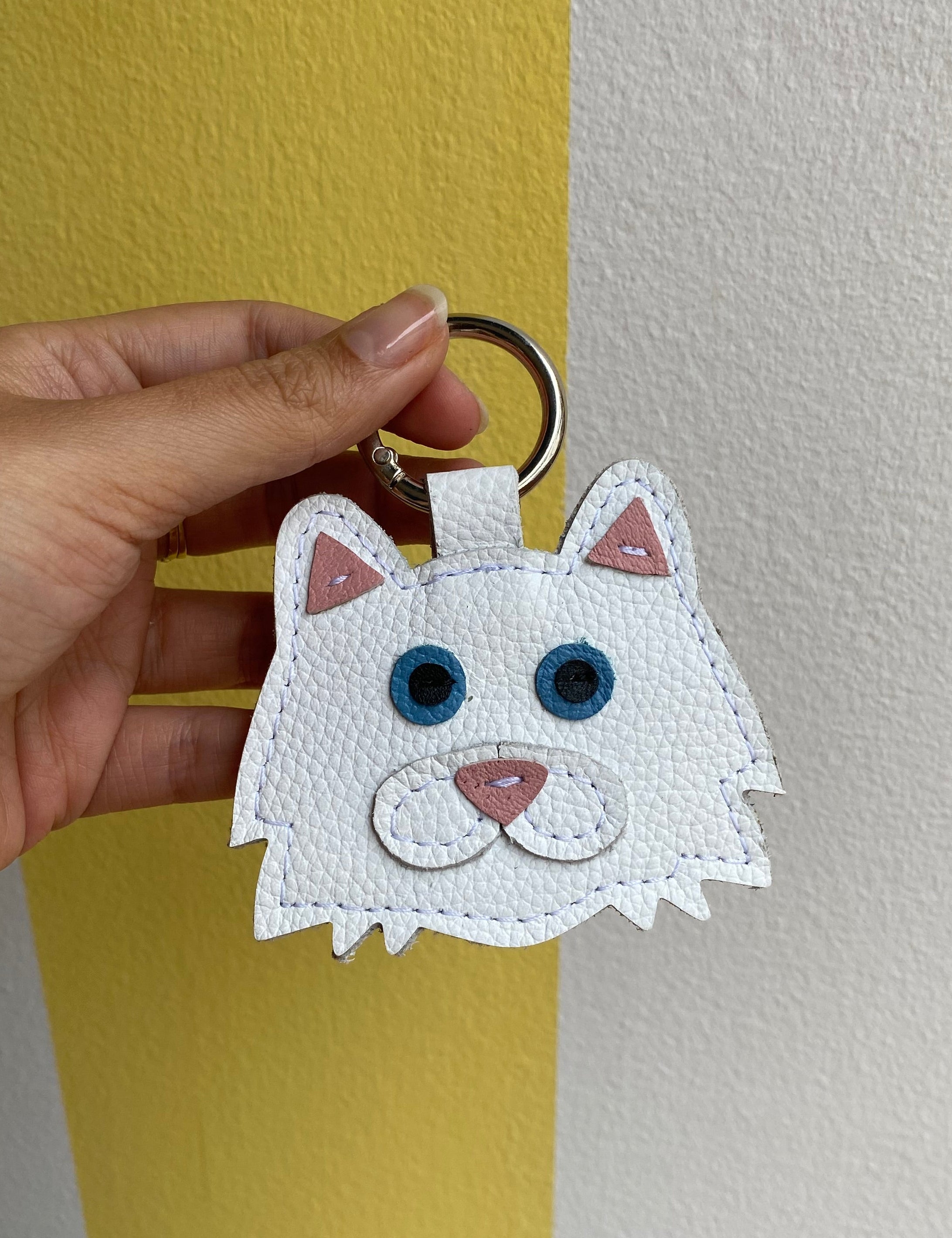 gato-blanco-pelo-largo.jpg
